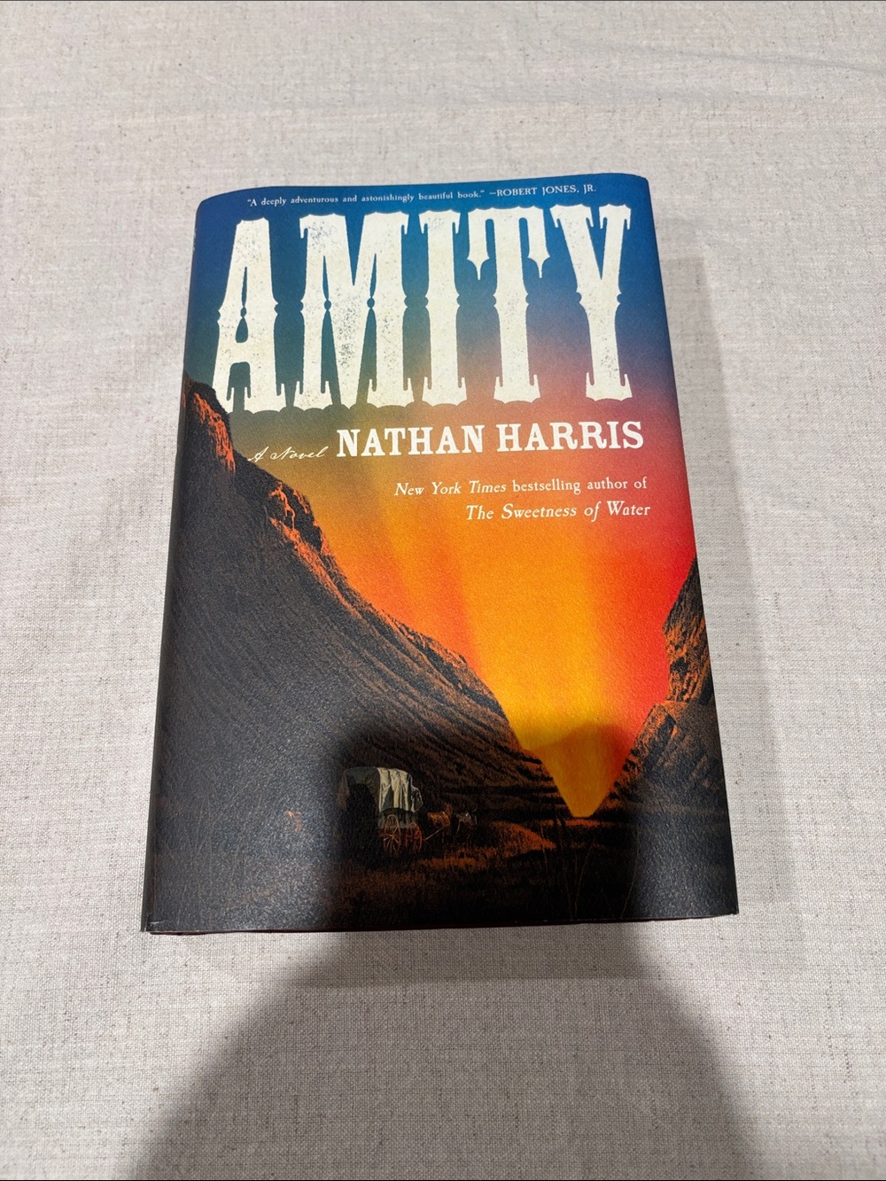 📙 AMITY by Nathan Harris - hardcover